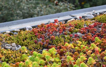 the cost of Wolstanton green roof installation